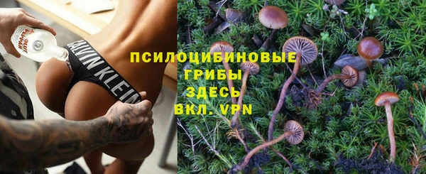 стафф Белоозёрский